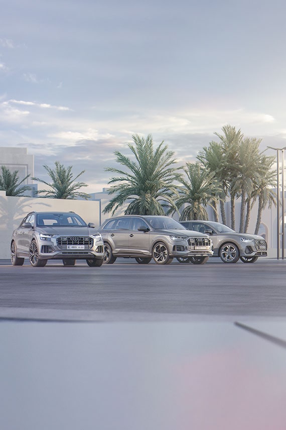 Experience the Audi Q range.